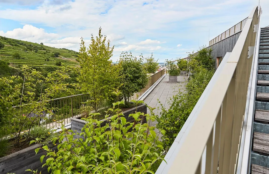 Steigenberger Hotel & Spa Krems-1